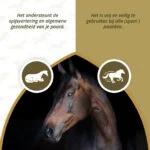 Kloubní doplněk pro koně s MSM a kurkumou, 1 kg – Excellent Horse PureFree - Obrázek 3