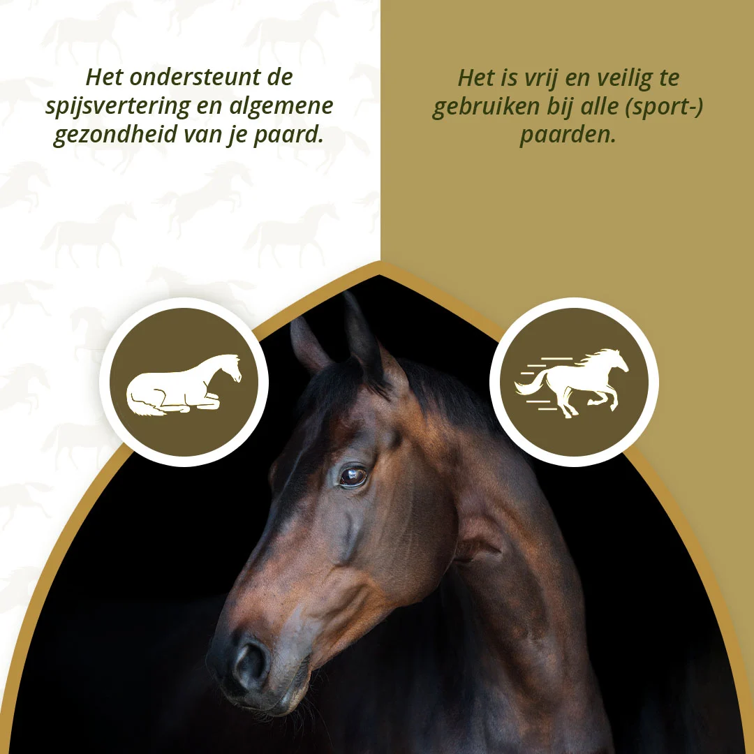 Kloubní doplněk pro koně s MSM a kurkumou, 1 kg – Excellent Horse PureFree - Obrázek 3