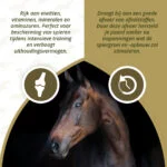Doplněk pro svaly koní s řasami, 1 kg – Excellent Horse Turbo - Obrázek 3