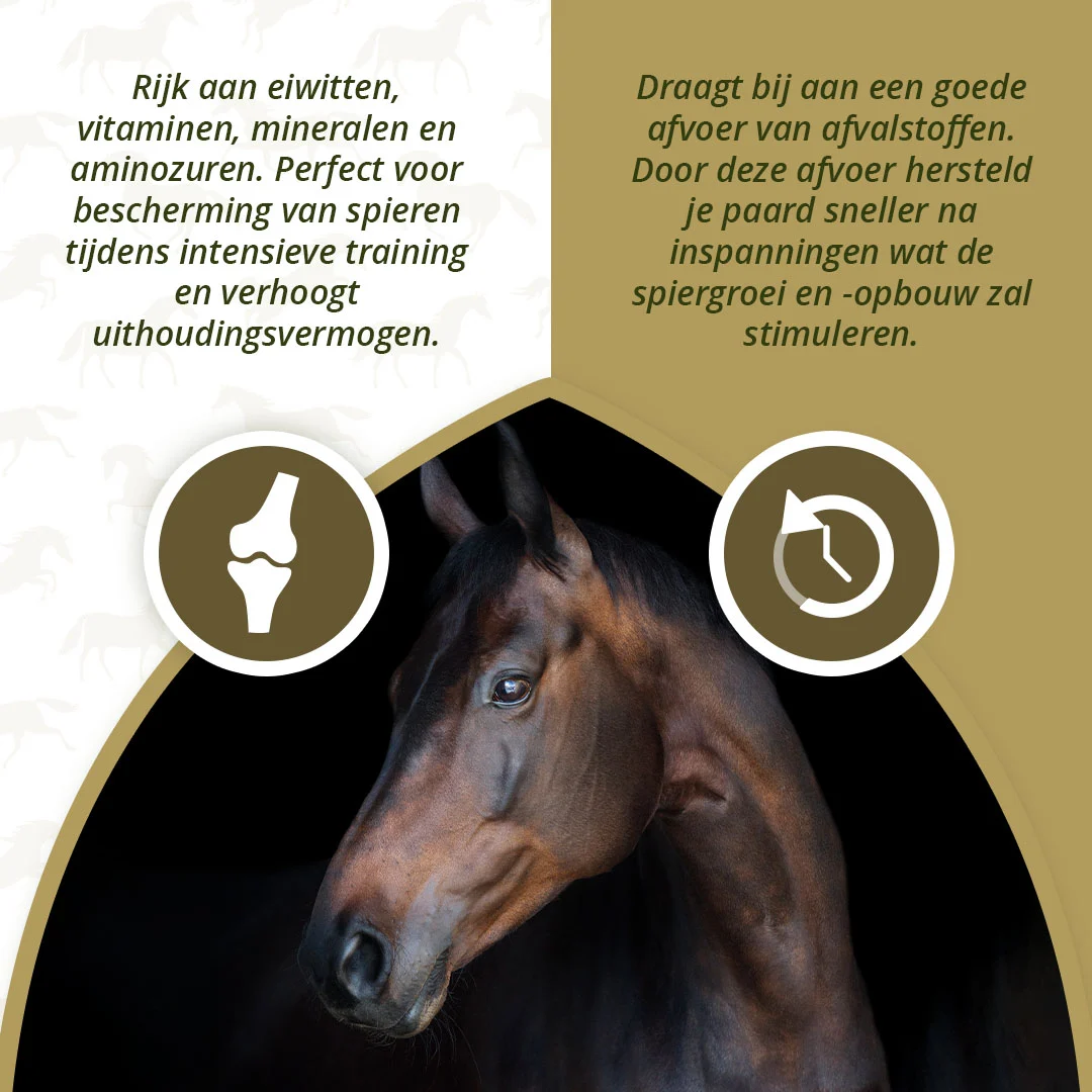 Doplněk pro svaly koní s řasami, 1 kg – Excellent Horse Turbo - Obrázek 3
