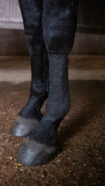 Samodržící obinadlo s třpytkami, 10 cm, černé – Excellent Animal Glitter Bandage Profi - Obrázek 2