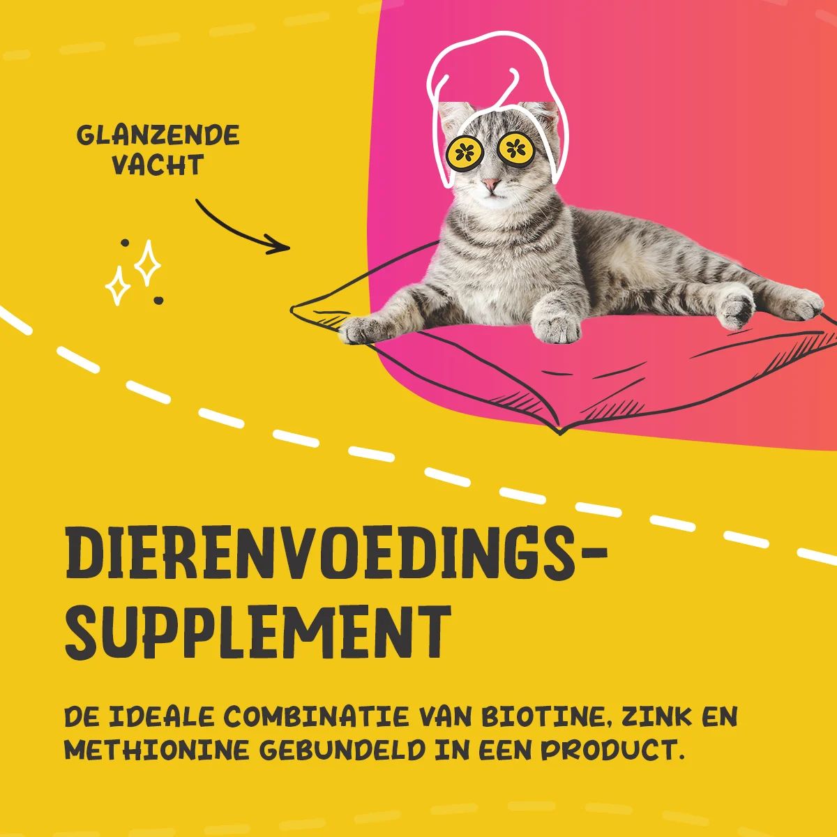 Doplněk pro srst psů a koček s biotinem, 750 g – Excellent Pets Biozin - Obrázek 3
