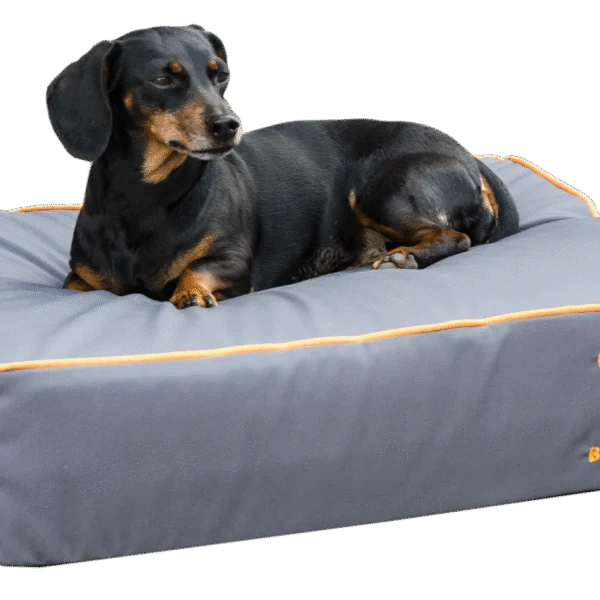 Psí pelíšek s impregnovanou horní stranou a protiskluzovou úpravou, šedý S 65 x 50 cm – Bodyguard Royal Bed