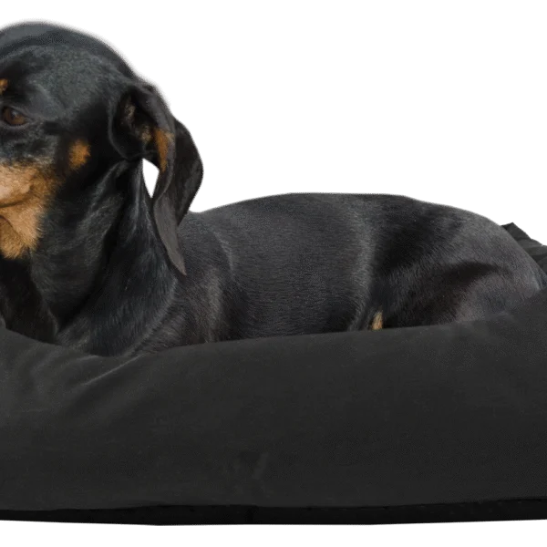Pelíšek pro psy s impregnovanou horní stranou a protiskluzovou úpravou, černý S 65 x 55 cm – Bodyguard Sofa Bed