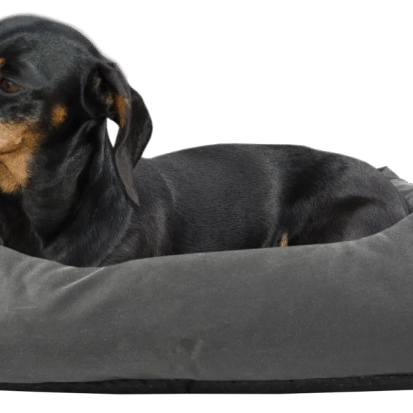 Pelíšek pro psa s impregnovaným povrchem a protiskluzovou spodní stranou, šedý, S, 65 x 55 cm – Bodyguard Sofa Bed