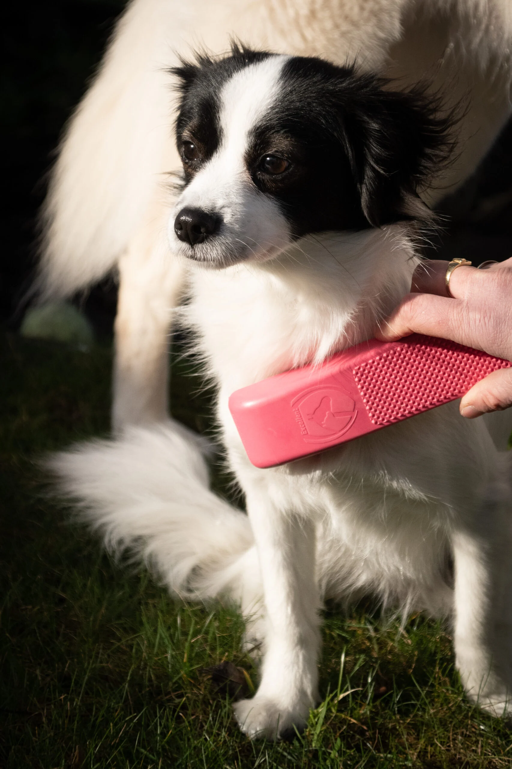 Kartáč pro mytí a masáž psa Medium růžový, 17,5 cm – Excellent Pets Grooming Brush - Obrázek 2