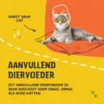 Lysinový prášek pro kočky s vitaminem B6, 50 g – Excellent Pets L-Lysine - Obrázek 2