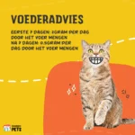 Lysinový prášek pro kočky s vitaminem B6, 50 g – Excellent Pets L-Lysine - Obrázek 3