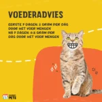 Lysinový prášek pro kočky s vitaminem B6, 100 g – Excellent Pets L-Lysine - Obrázek 2