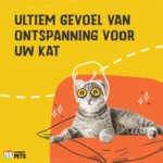 Sprej se šantou kočičí na hračky a přepravní tašky, 150 ml – Excellent Pets Catnip Spray - Obrázek 4