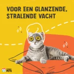 Doplněk stravy pro kočky ve formě granulí s prebiotiky, 60 g – Excellent Pets Cat Parex - Obrázek 3