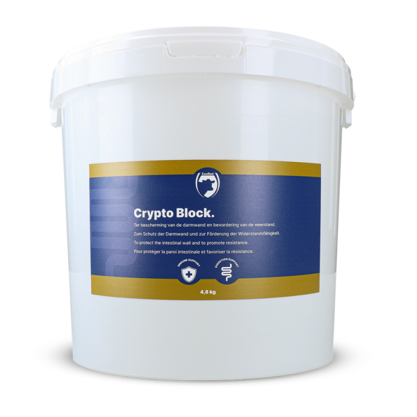 Krmný doplněk pro telata a jehňata, 4,8 kg – Excellent Crypto Block