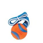Hračka pro psy na přetahování s tenisovým míčkem a popruhem, ø 6 cm – Chuckit! Ultra Tug M - Obrázek 2