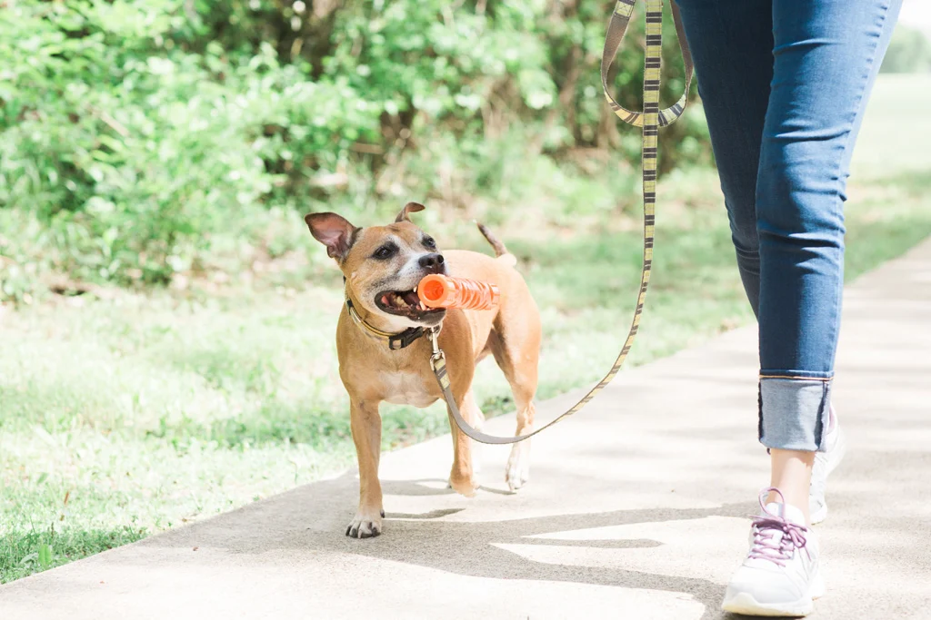 Aportovací hůlka z měkké gumy, plovoucí, 31 cm – Chuckit! Air Fetch Stick - Obrázek 4