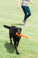Aportovací hůlka z měkké gumy, plovoucí, 31 cm – Chuckit! Air Fetch Stick - Obrázek 5