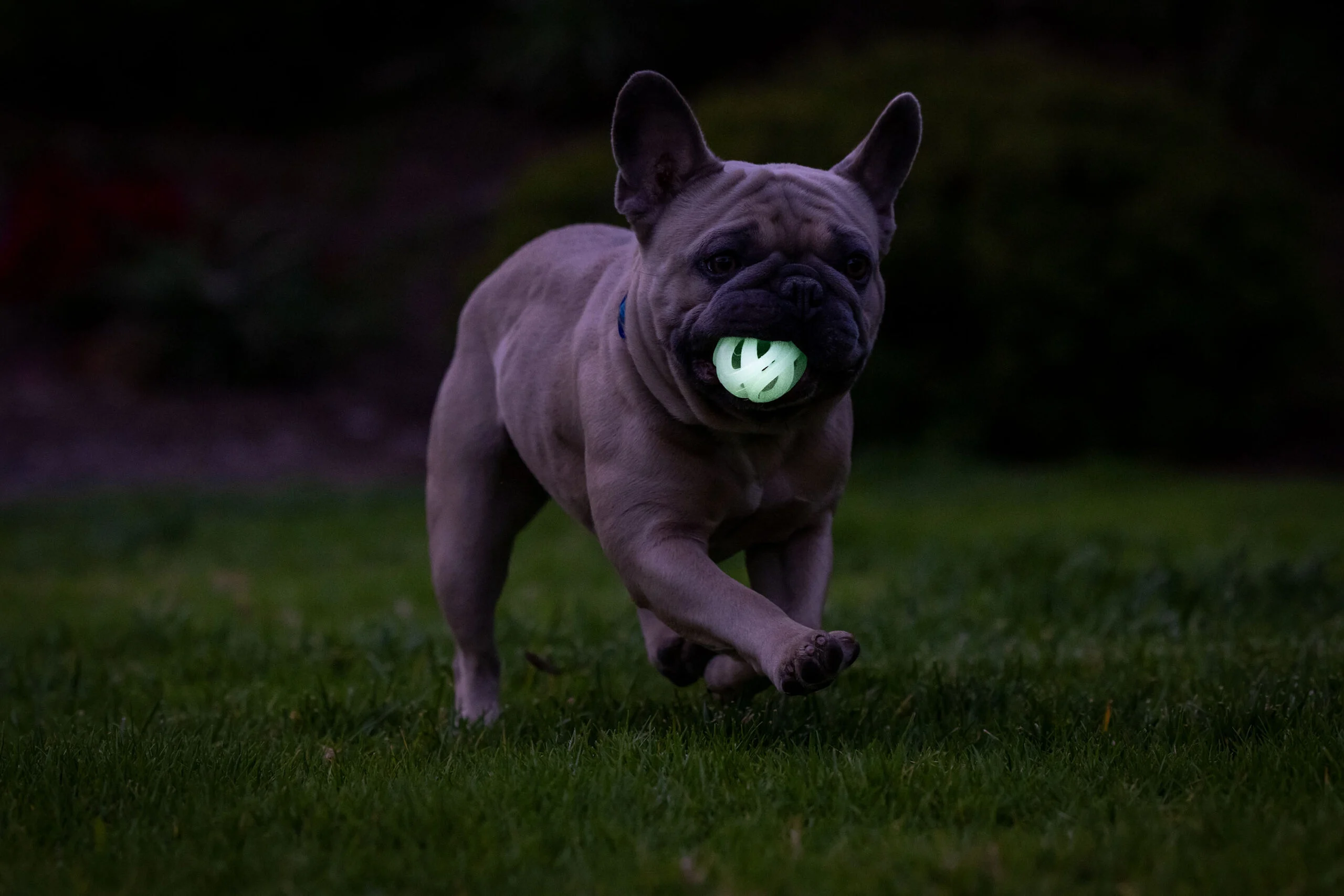 Svítící míček pro psy M, plovoucí, 6 cm, 2 kusy – Chuckit! Air Glow Fetch Ball - Obrázek 5