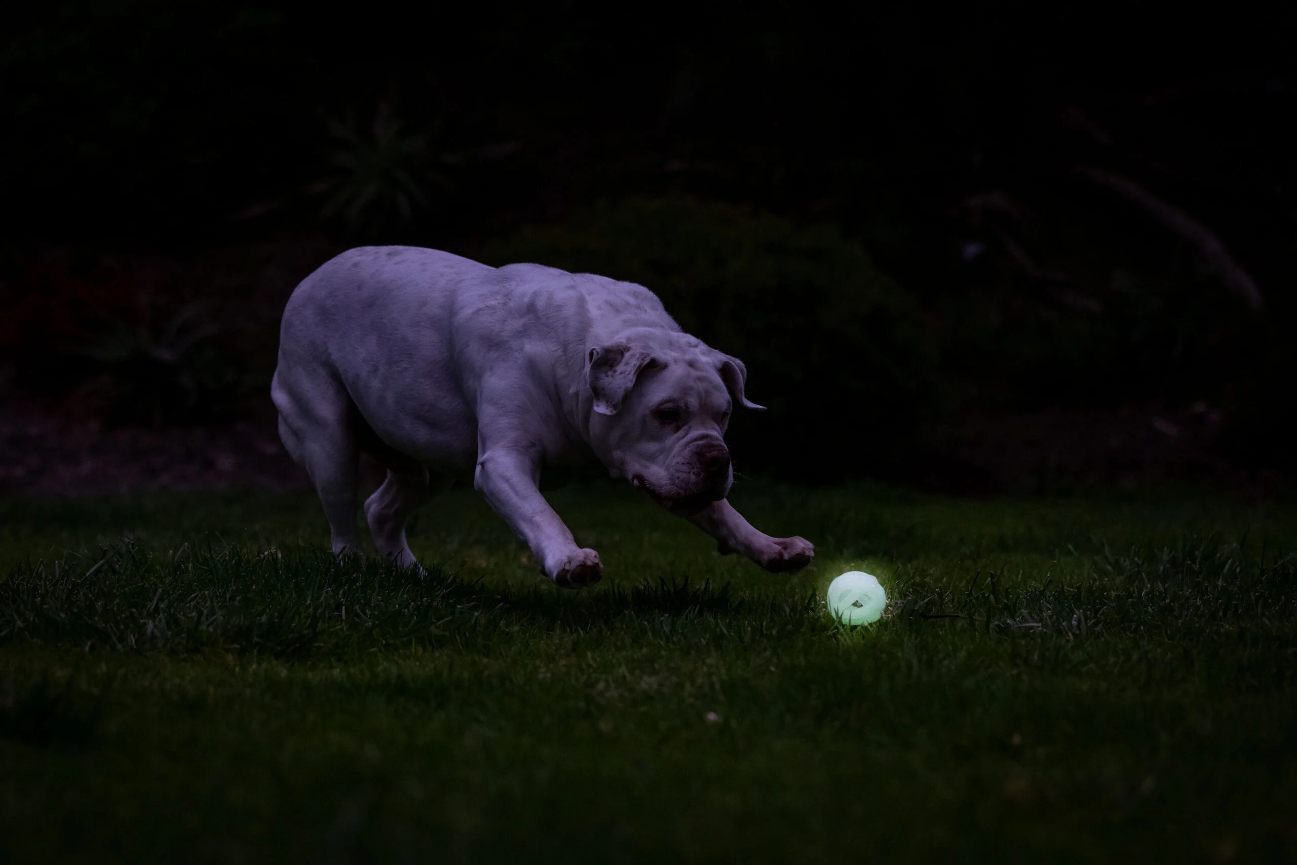 Svítící míček pro psy M, plovoucí, 6 cm – Chuckit! Air Glow Fetch Ball - Obrázek 5