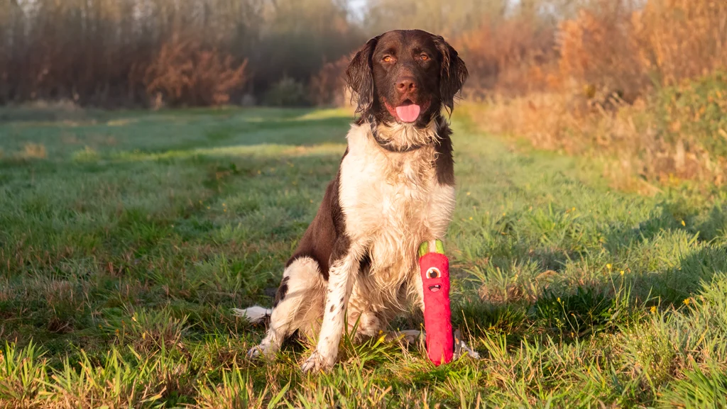 Plyšová aportovací hračka pro psy s pískátkem, růžová M, 22,5 cm – Dog Comets Invaders - Obrázek 3