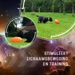 Aportovací hračka pro psy, plovoucí, 30 cm, oranžová – Dog Comets Pan-Stars - Obrázek 5