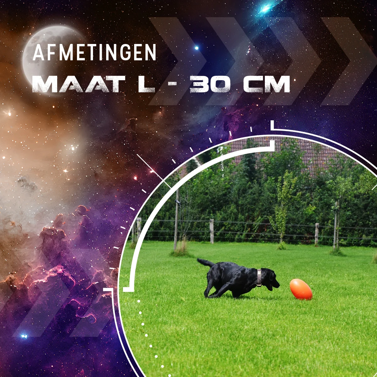 Aportovací hračka pro psy, plovoucí, 30 cm, oranžová – Dog Comets Pan-Stars - Obrázek 3