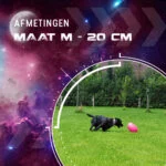 Plovací aportovací hračka pro psy, 20 cm, růžová – Dog Comets Pan-Stars - Obrázek 3