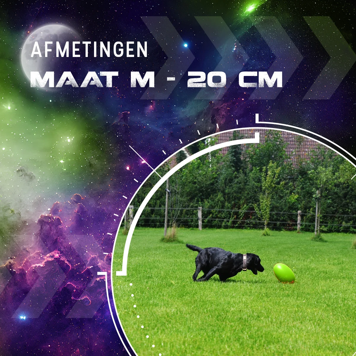 Aportovací hračka pro psy, plovoucí, 20 cm, zelená – Dog Comets Pan-Stars - Obrázek 3