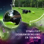 Aportovací hračka pro psy, plovoucí, 20 cm, zelená – Dog Comets Pan-Stars - Obrázek 5