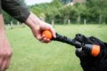 Gumová házecí tyč s pískátkem, L 32 cm, oranžová – Dog Comets Meteor - Obrázek 3