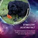 Gumový míček na pamlsky s pískátkem, oranžový – Dog Comets Moonstone - Obrázek 6