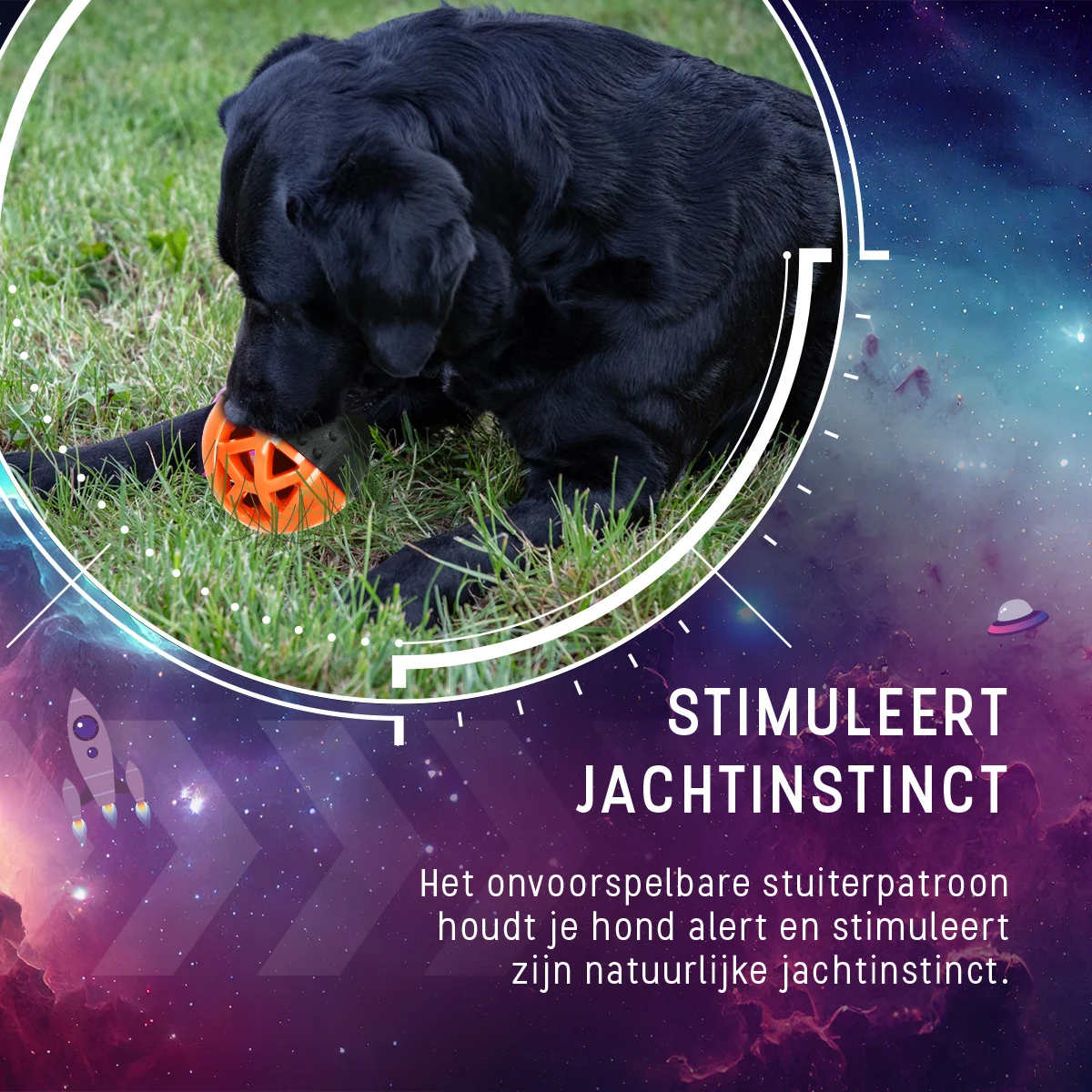 Gumový míček na pamlsky s pískátkem, oranžový – Dog Comets Moonstone - Obrázek 6
