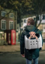 Přepravní taška na psa na kolečkách s funkcí batohu, šedá, 40 x 25 x 31 cm – Compaws Trolley London - Obrázek 2
