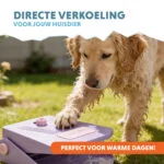 Fontánka na vodu s nožním pedálem a přípojkou na zahradní hadici, lila – Coolpets Splash Water Fountain - Obrázek 2