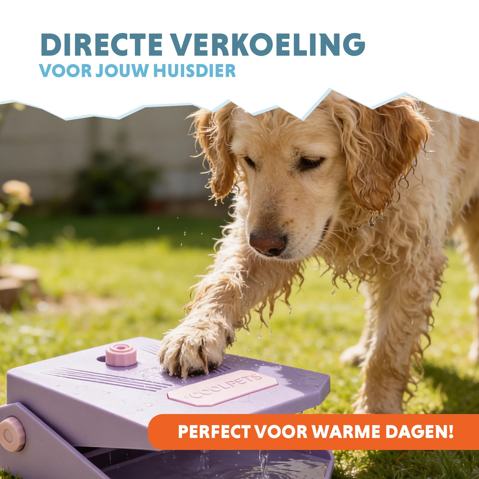 Fontánka na vodu s nožním pedálem a přípojkou na zahradní hadici, lila – Coolpets Splash Water Fountain - Obrázek 2