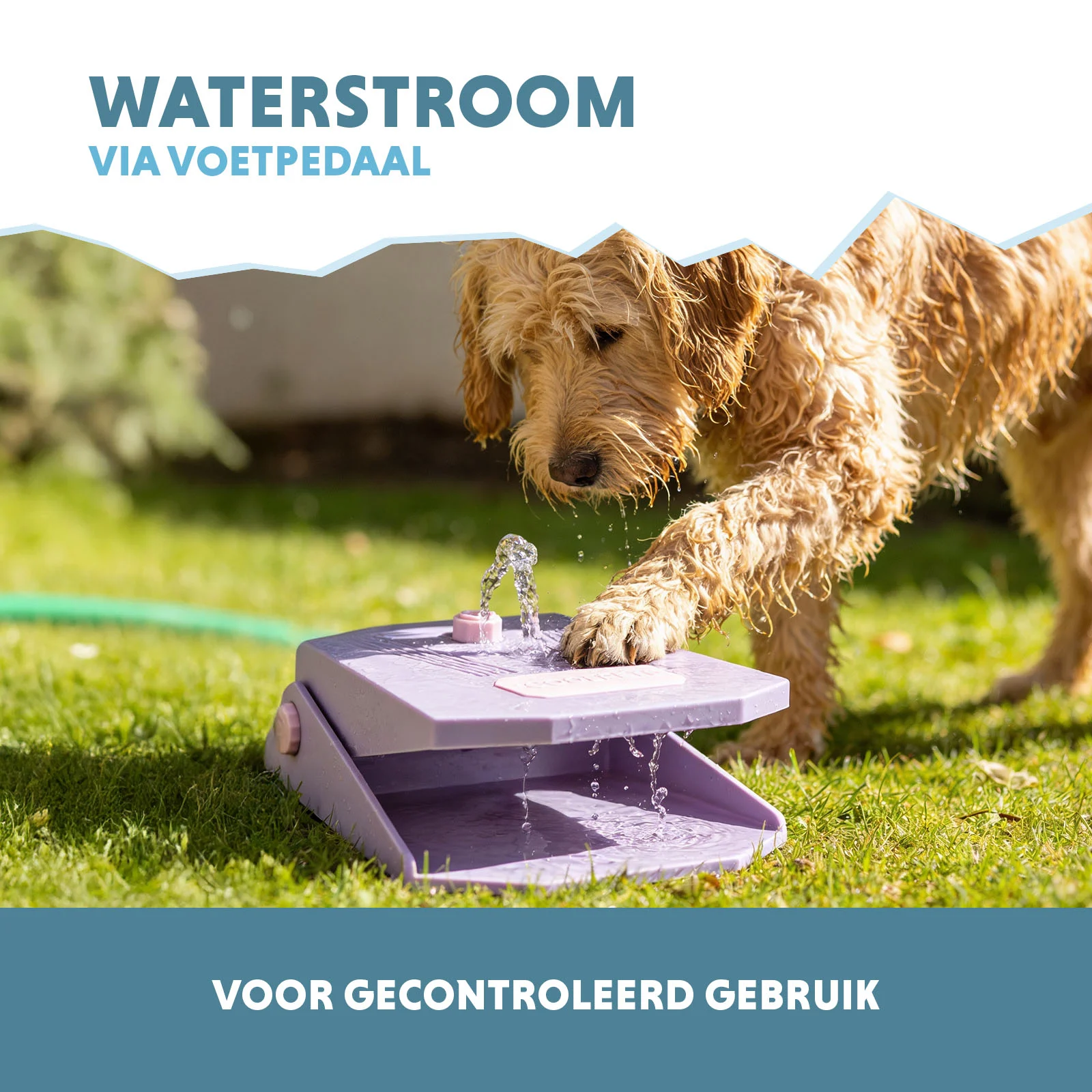 Fontánka na vodu s nožním pedálem a přípojkou na zahradní hadici, lila – Coolpets Splash Water Fountain - Obrázek 4