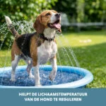 Rozstřikovací podložka pro psy s připojením na zahradní hadici, S 100 cm – Coolpets Splash Sprinkler Pad - Obrázek 6