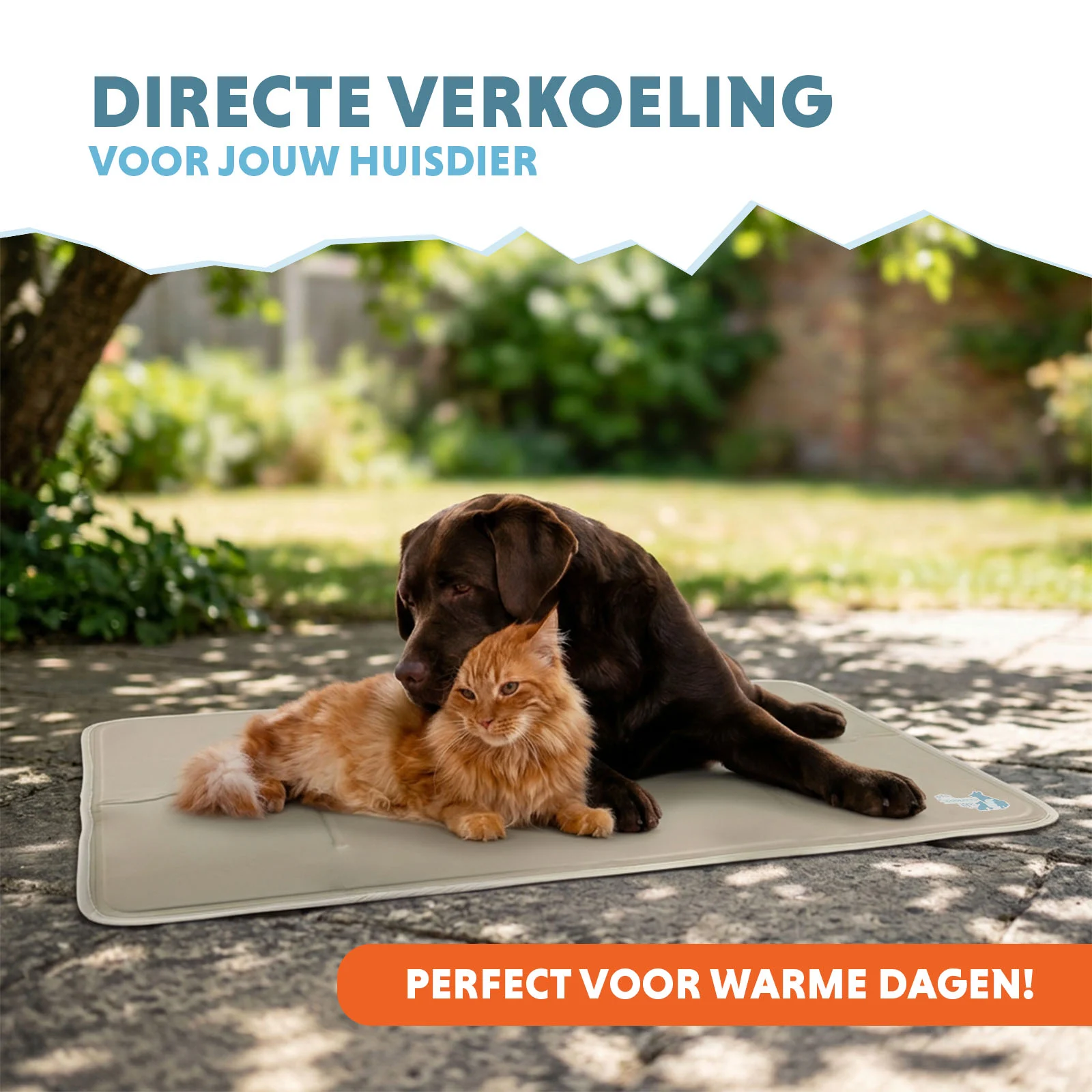 Chladicí podložka pro psy s pevným gelem, béžová, L, 90 x 60 cm – Coolpets Gel Cooling Mat - Obrázek 2