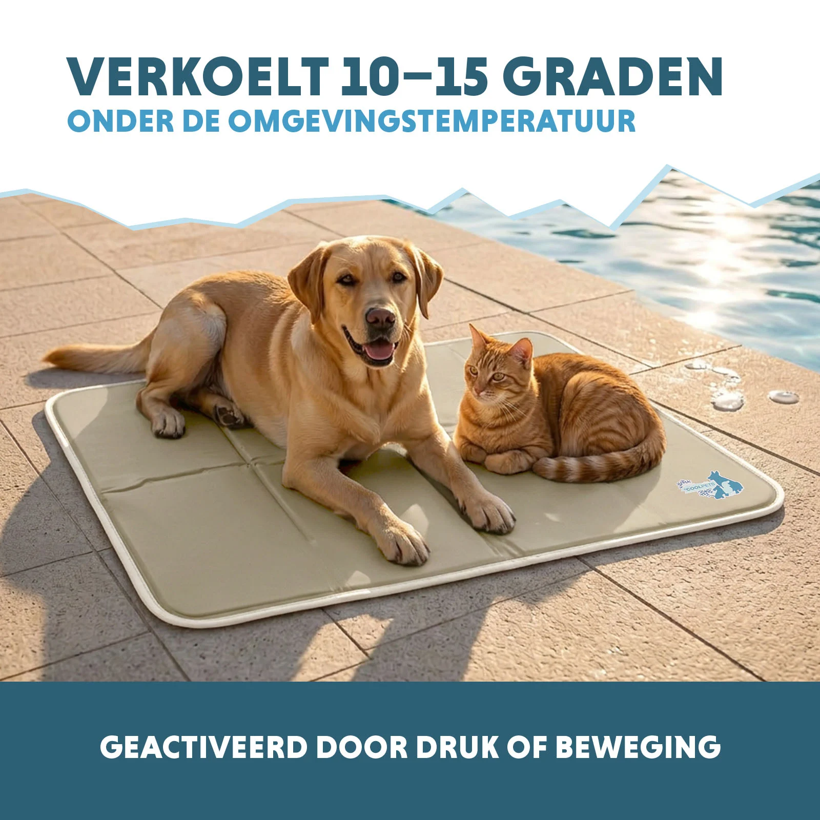 Chladicí podložka pro psy s pevným gelem, béžová, L, 90 x 60 cm – Coolpets Gel Cooling Mat - Obrázek 4