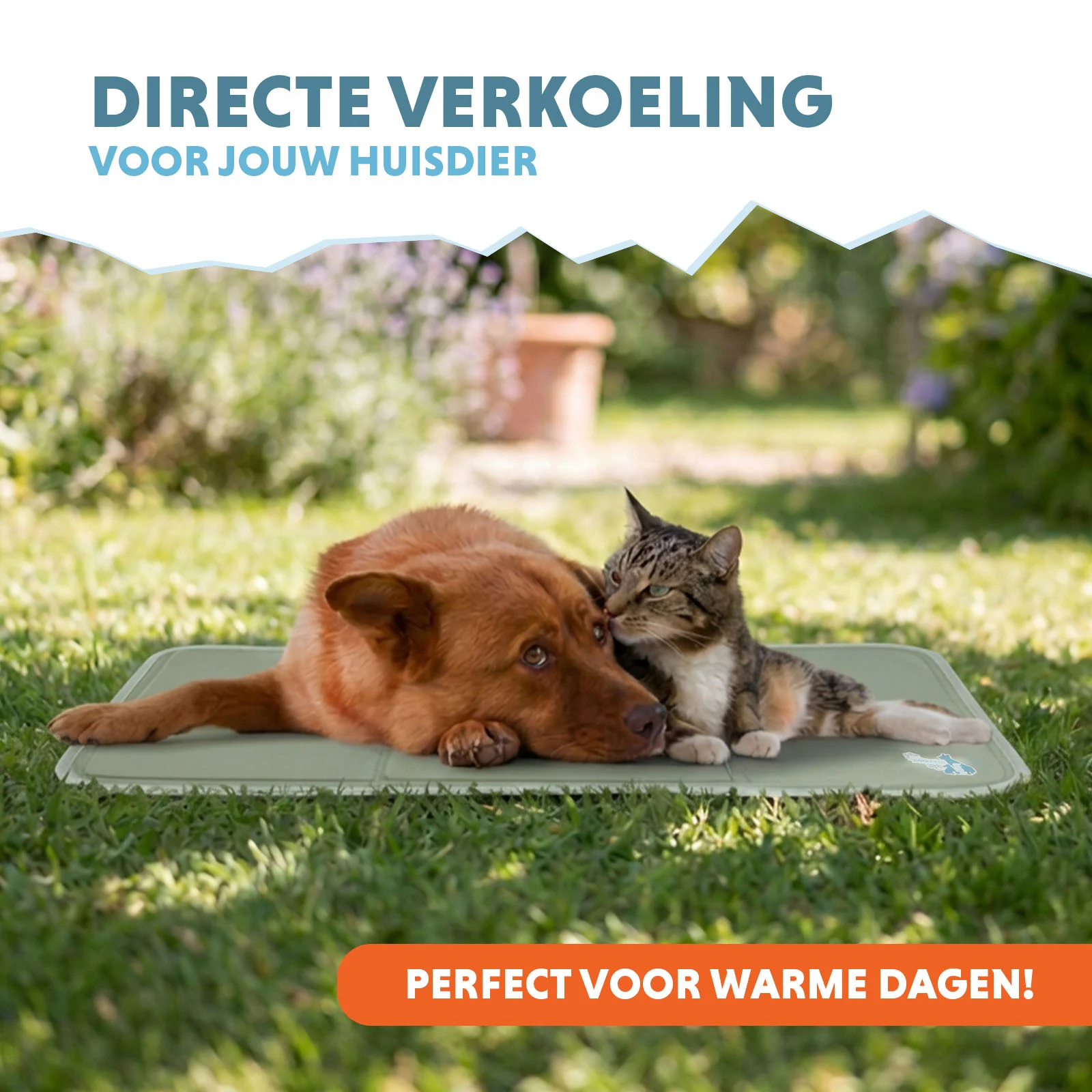 Chladicí podložka pro psy s pevným gelem, olivově zelená, M 76 x 50 cm – Coolpets Gel Cooling Mat - Obrázek 2