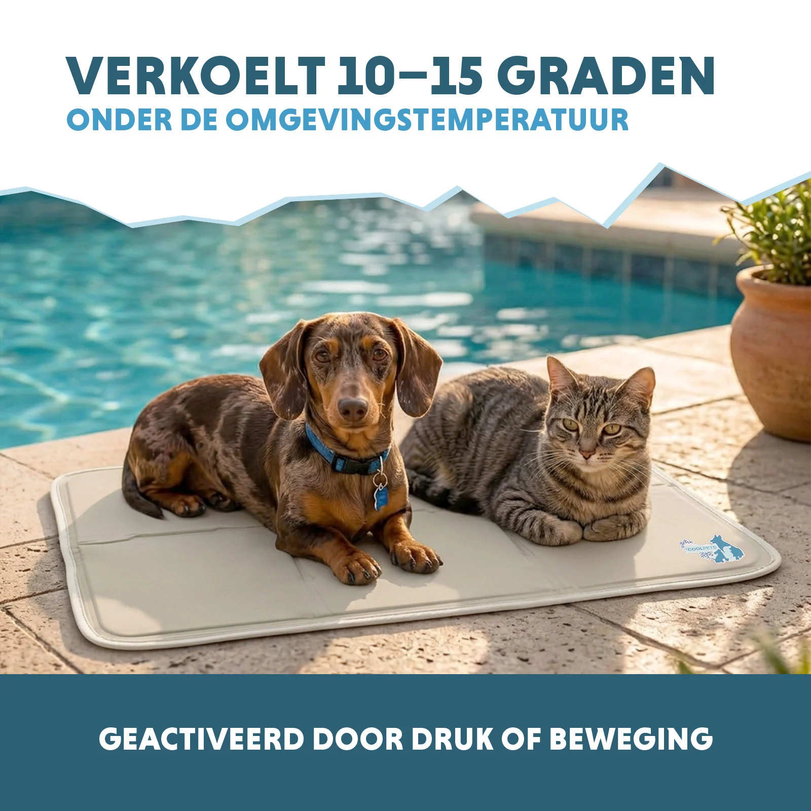 Chladicí podložka pro psy s pevným gelem, béžová, M, 76 x 50 cm – Coolpets Gel Cooling Mat - Obrázek 4