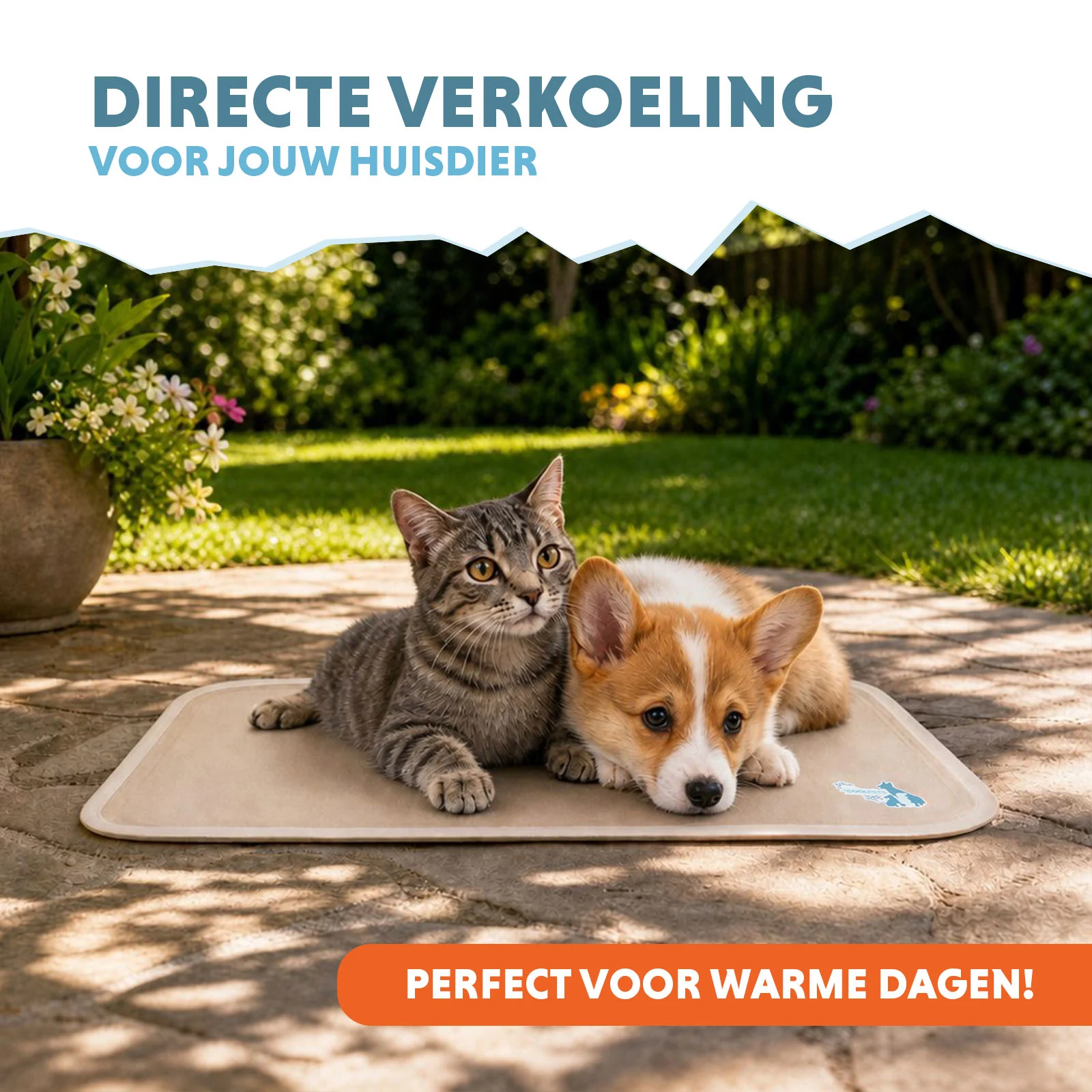 Chladicí podložka pro psy s pevným gelem, béžová, S 50 x 40 cm – Coolpets Gel Cooling Mat - Obrázek 2