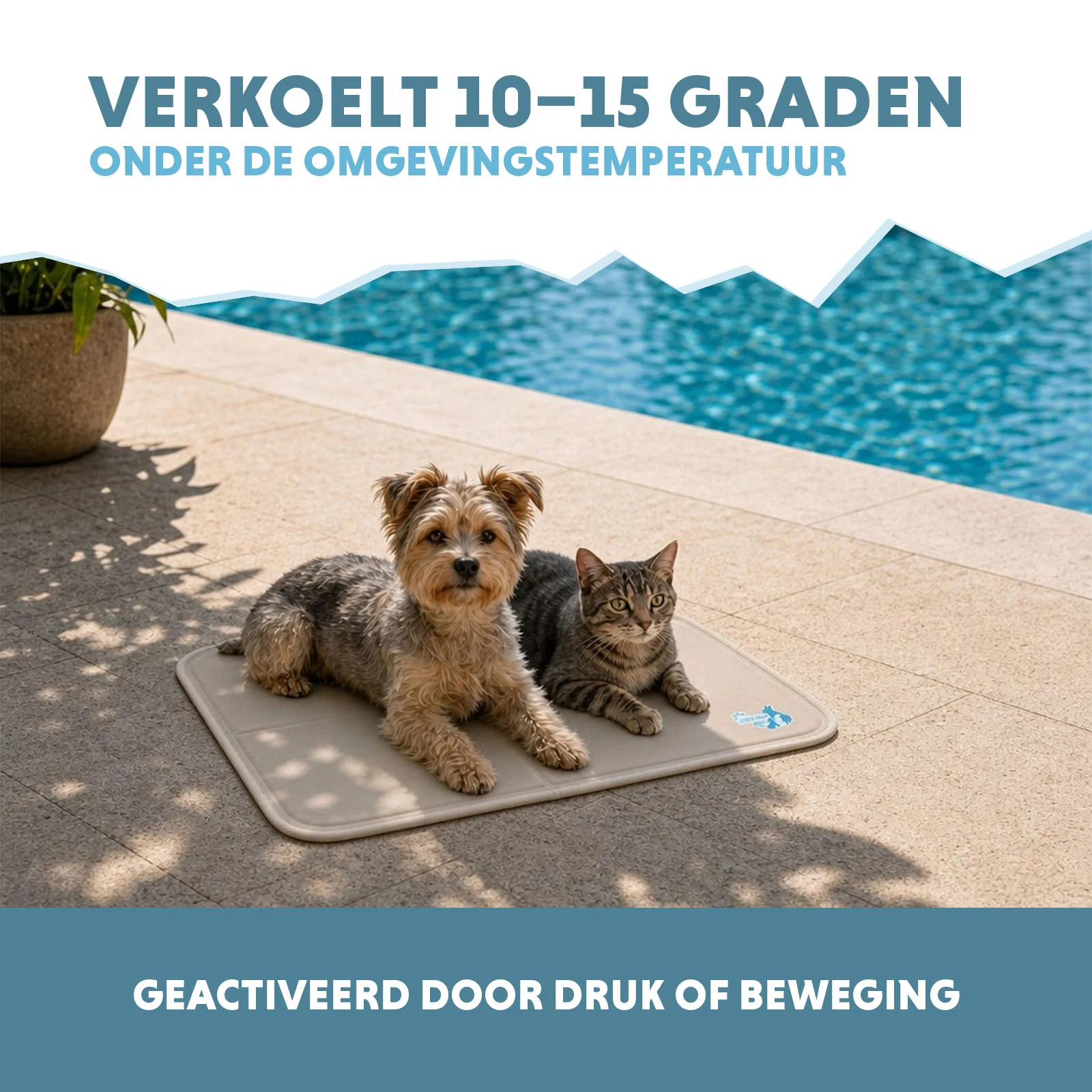 Chladicí podložka pro psy s pevným gelem, béžová, S 50 x 40 cm – Coolpets Gel Cooling Mat - Obrázek 4