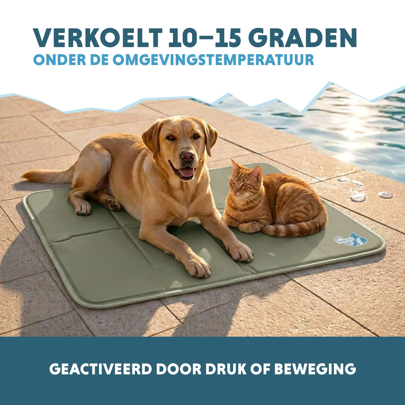 Chladicí podložka pro psy s pevným gelem, olivově zelená, L 90 x 60 cm – Coolpets Gel Cooling Mat - Obrázek 4