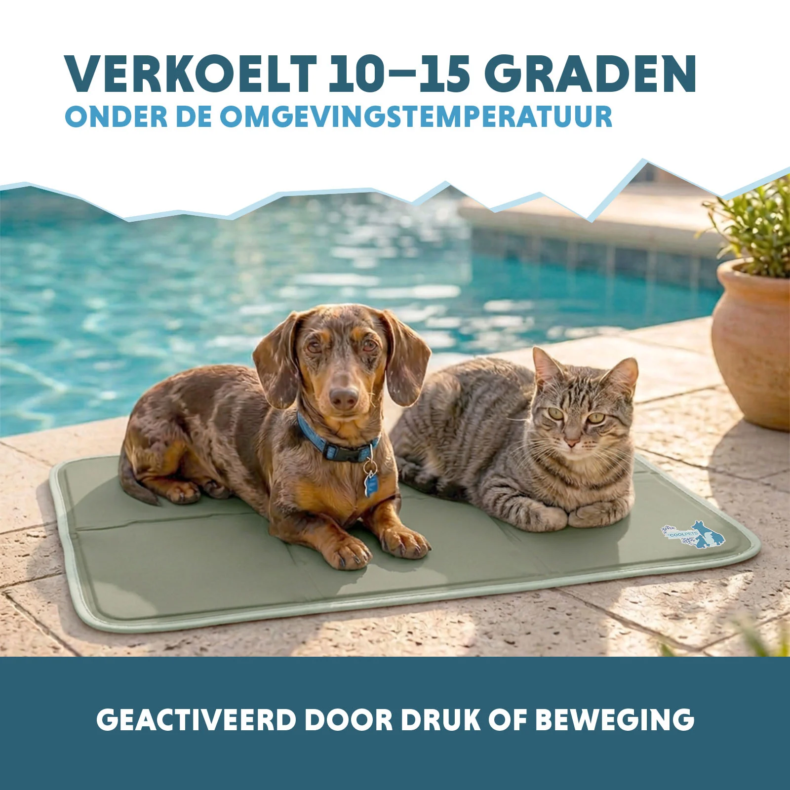 Chladicí podložka pro psy s pevným gelem, olivově zelená, M 76 x 50 cm – Coolpets Gel Cooling Mat - Obrázek 4