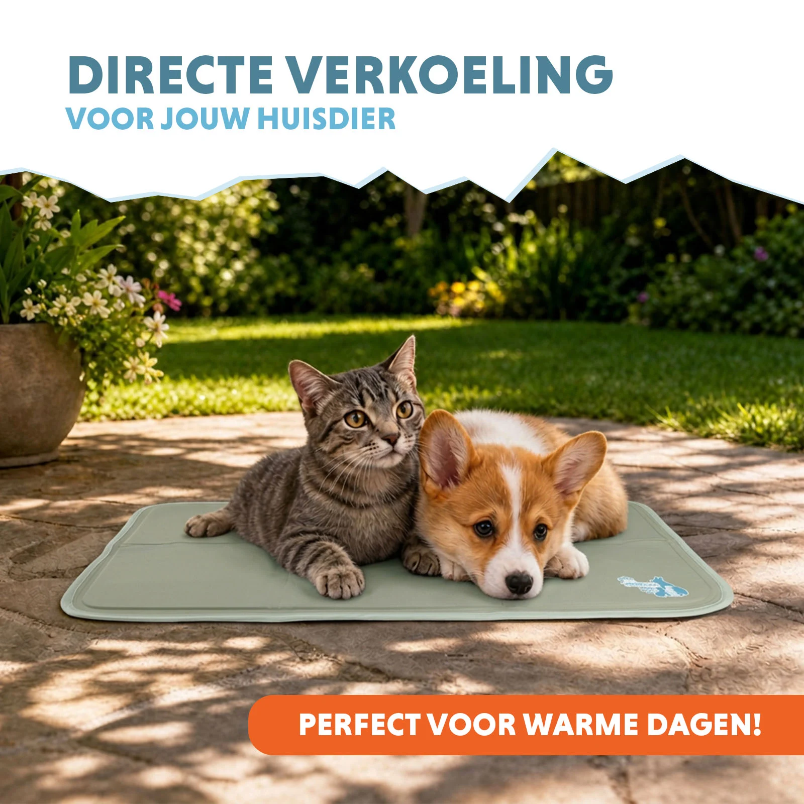 Chladicí podložka pro psy s tuhou gelovou náplní, olivově zelená, S 50 x 40 cm – Coolpets Gel Cooling Mat - Obrázek 2