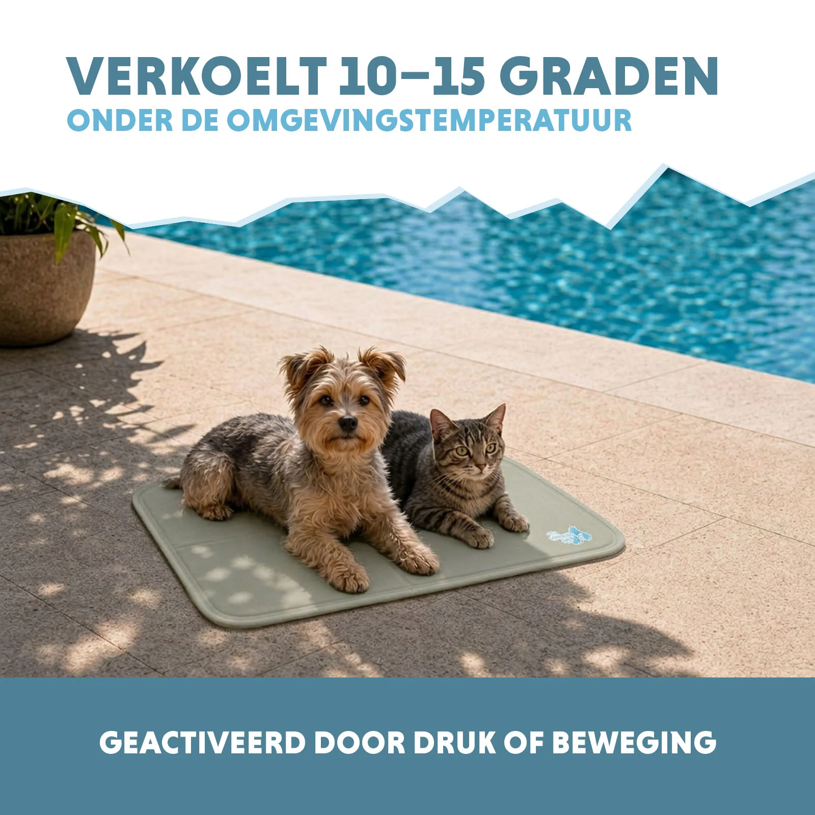 Chladicí podložka pro psy s tuhou gelovou náplní, olivově zelená, S 50 x 40 cm – Coolpets Gel Cooling Mat - Obrázek 4