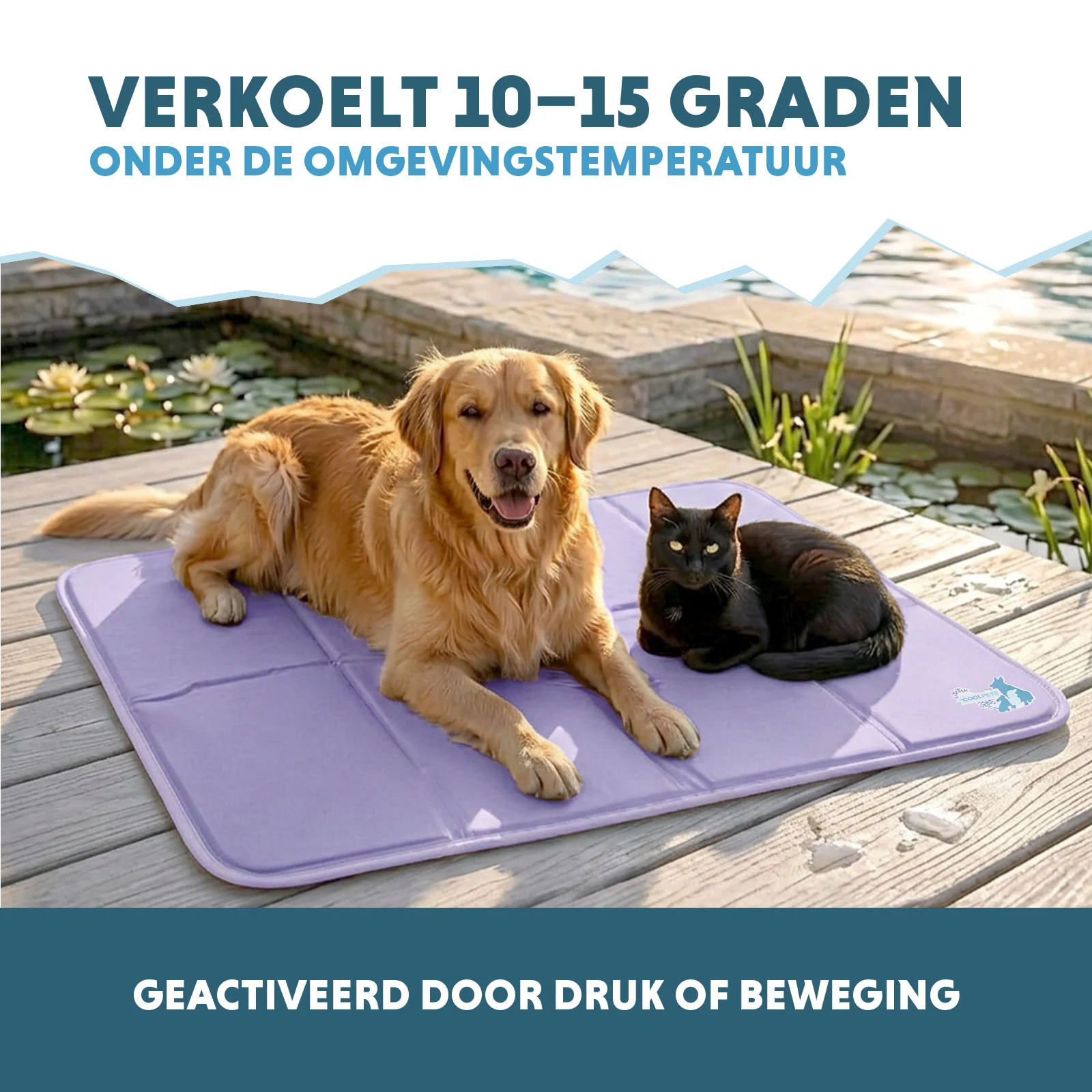 Chladicí podložka pro psy s pevnou gelovou náplní, lila, XL 120 x 70 cm – Coolpets Gel Cooling Mat - Obrázek 4