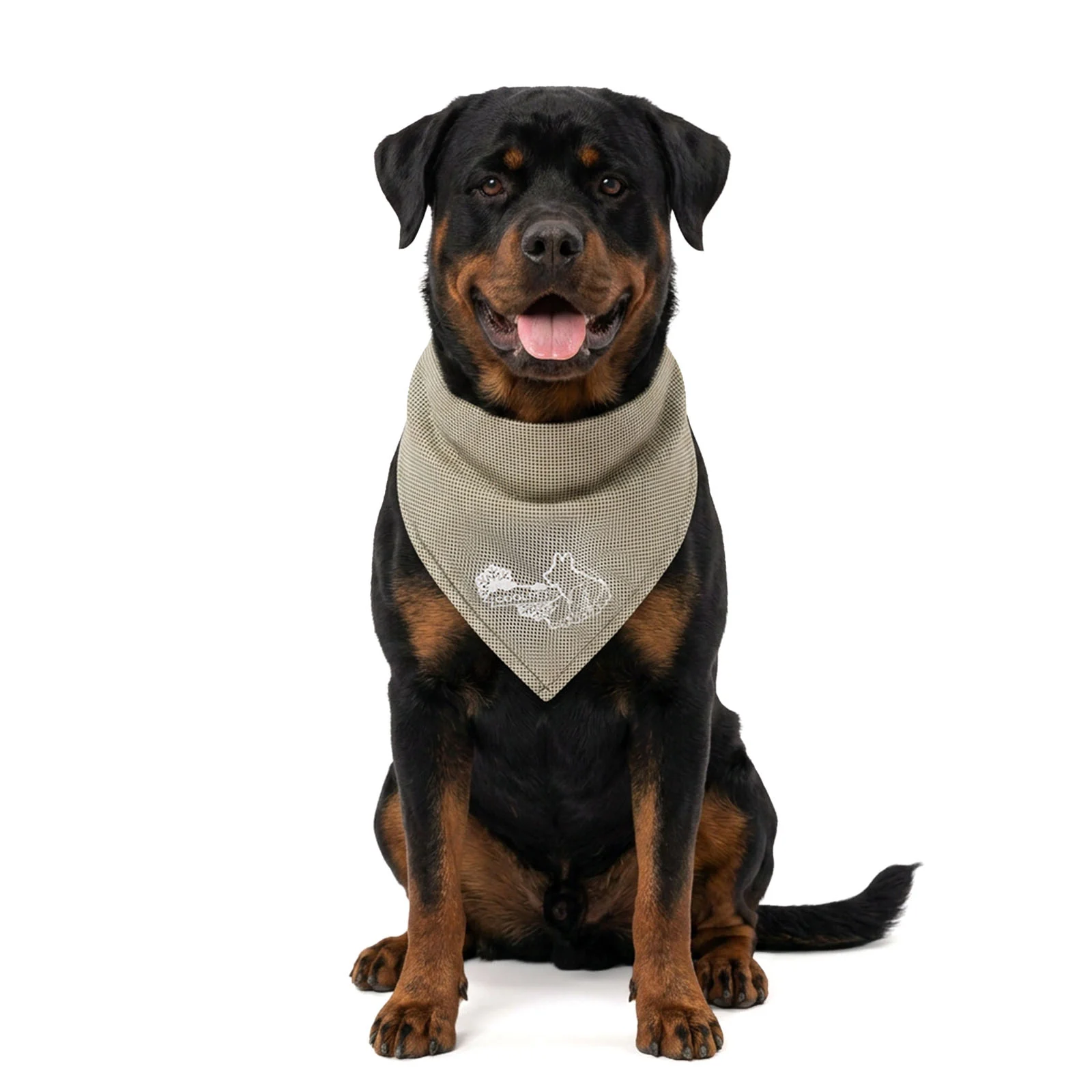 COOL030L_00.jpg Chladicí bandana pro psy, béžová, L, 85 x 40 cm – Coolpets Cooling Bandana - Obrázek 1