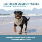 Chladicí bandana pro psy, béžová, L, 85 x 40 cm – Coolpets Cooling Bandana - Obrázek 4