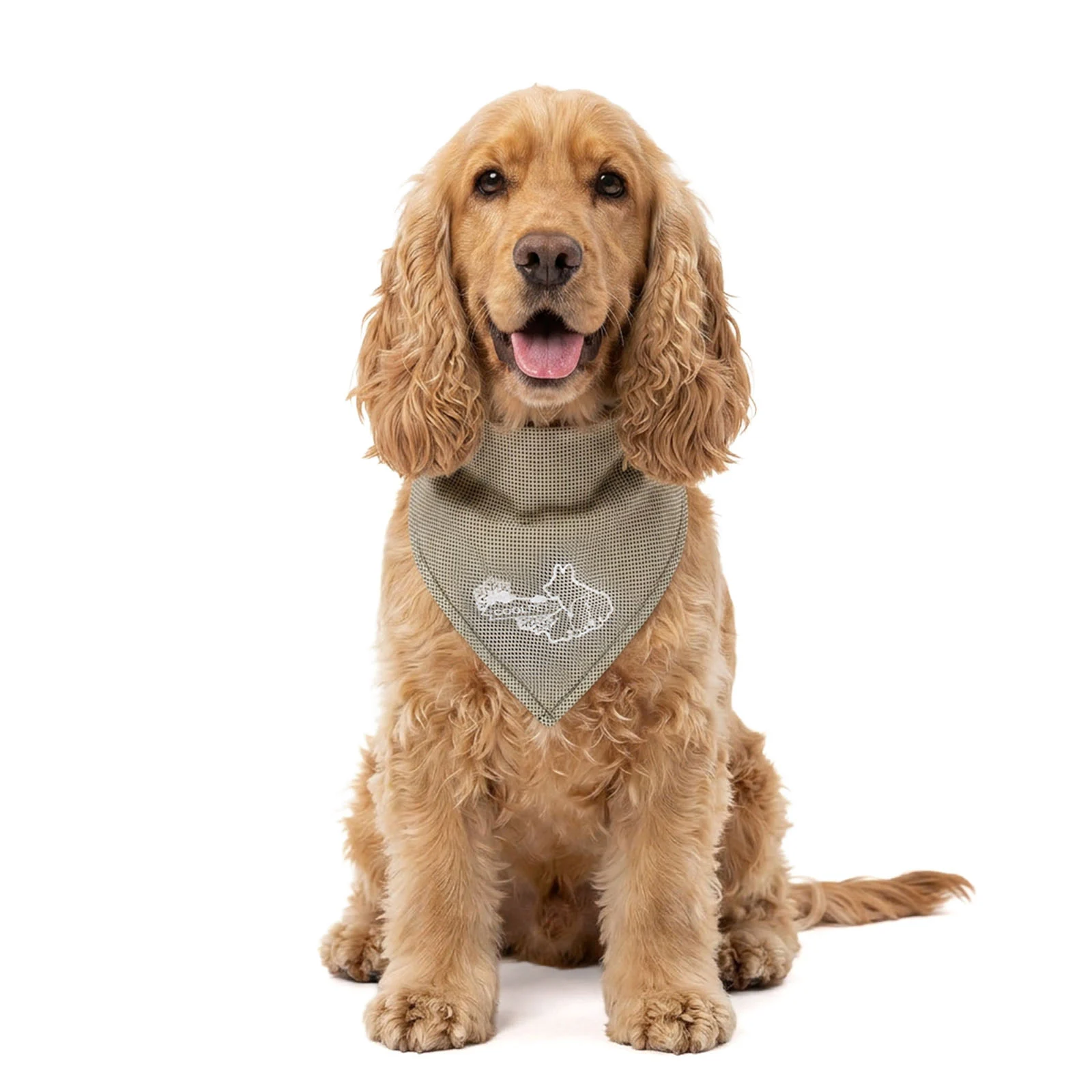 Chladicí šátek pro psy, béžový, M, 65 x 30 cm – Coolpets Cooling Bandana - Obrázek 1