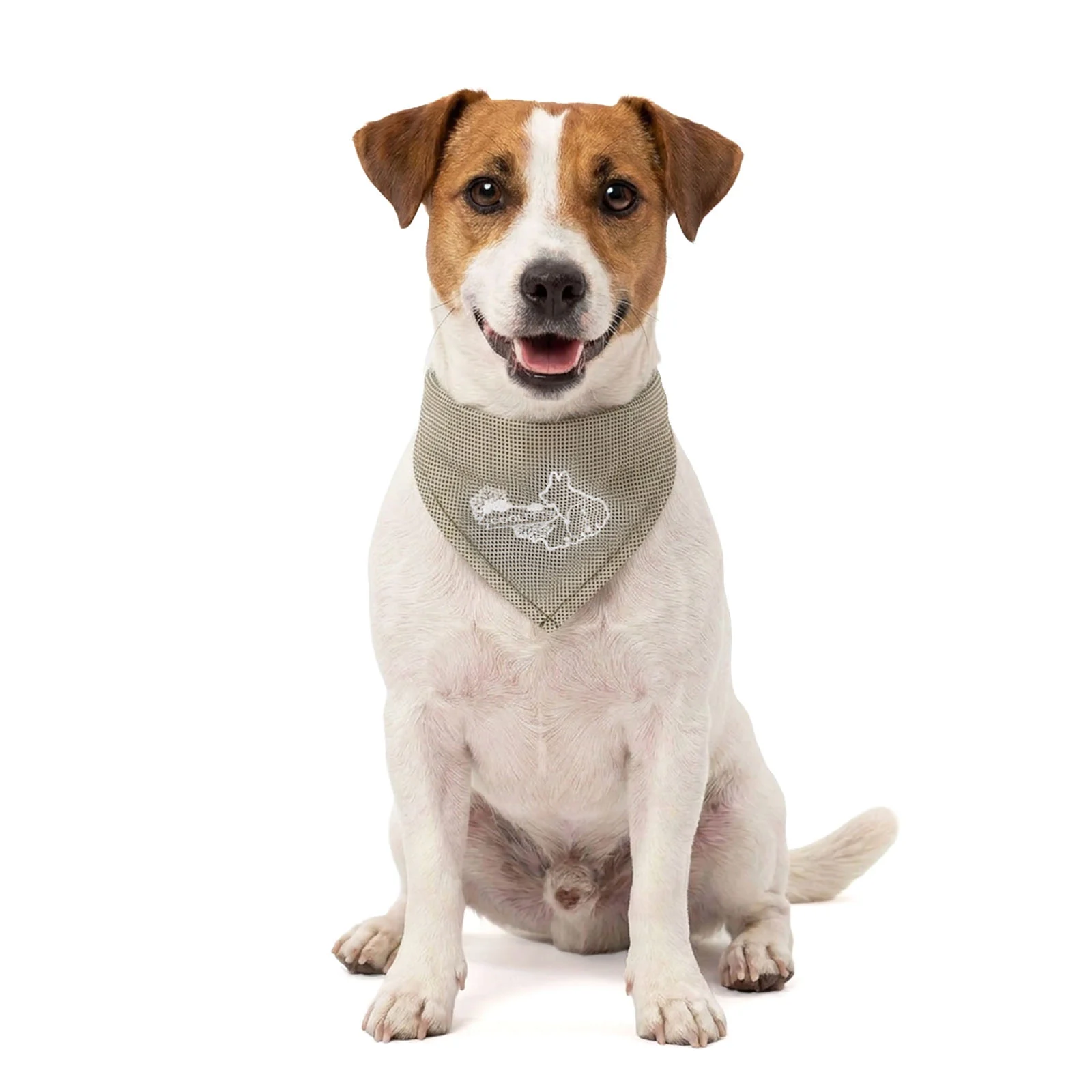 Chladicí šátek pro psy, béžový, S, 45 x 20 cm – Coolpets Cooling Bandana - Obrázek 1